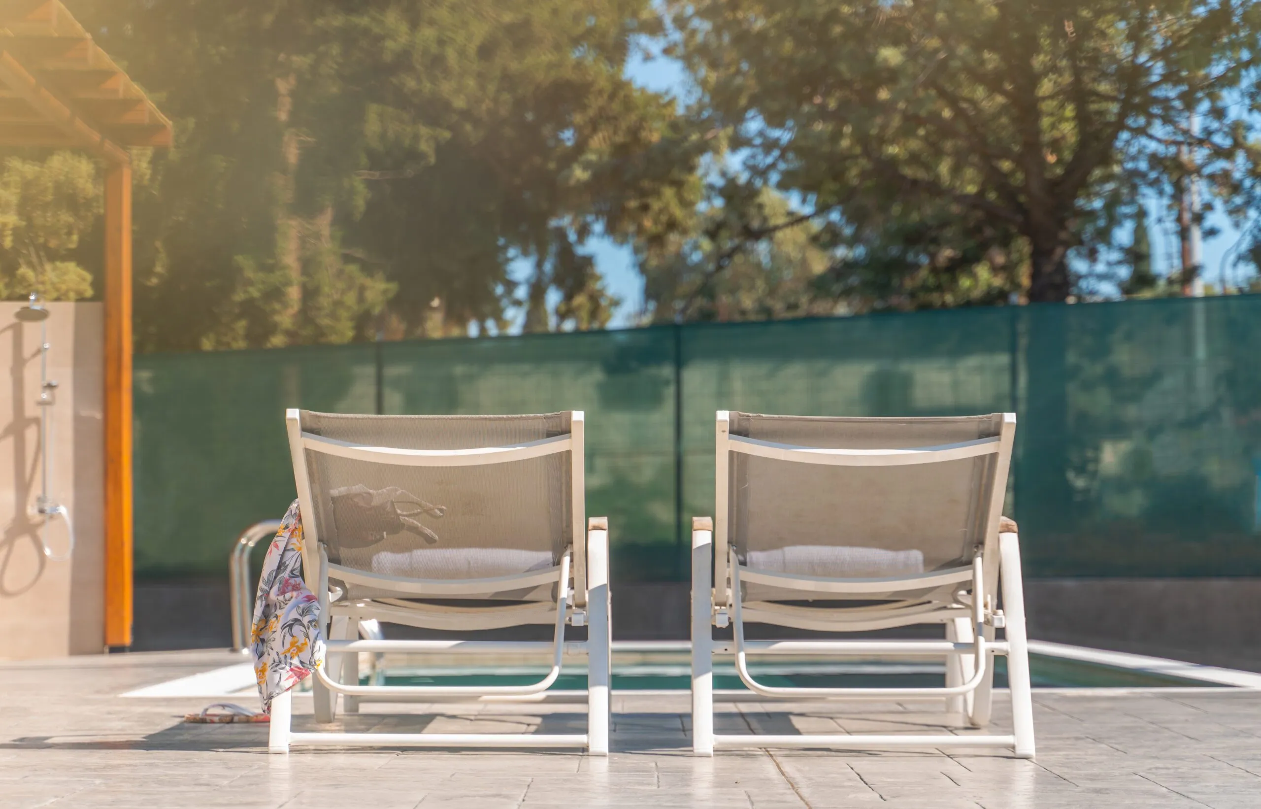 Two sun loungers facing the olive trees